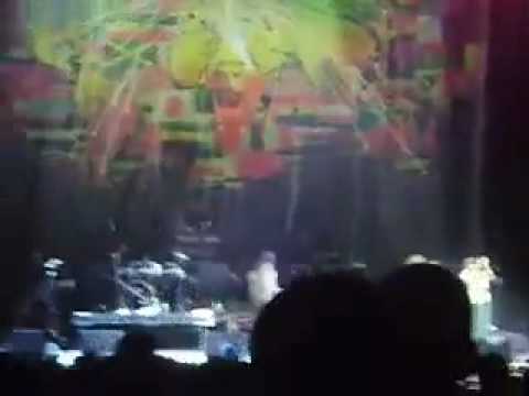 Rock the Bells 2009: Chicago (Part 2)