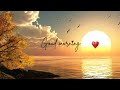 Love Is A FEEL Not A DEAL New Good Morning WhatsApp Status Beautiful Ringtone Good Morning
