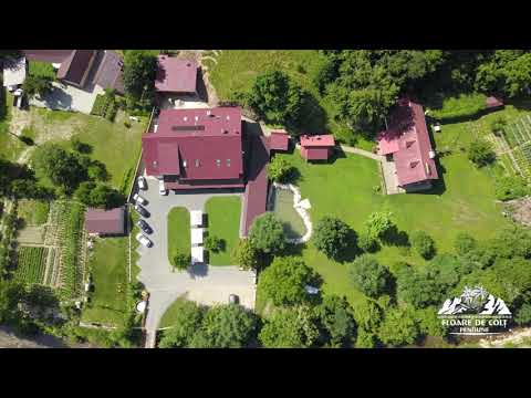 FLOARE DE COLT Pensiune