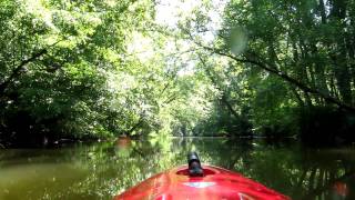 preview picture of video 'Taming the Patuxent River 1/3 - July 31, 2011'