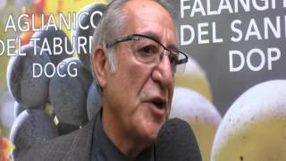 il-sannio-e-la-sua-terra-unica-tra-vino-ed-emozioni