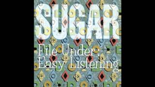 Sugar - Panama City Motel