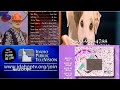 PBS KIDS Program Break Pledge Break KAID TV 2000