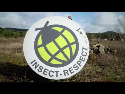 Mein gutes Beispiel 2017 - Preisträger Insect Respect (Reckhaus GmbH & Co. KG)