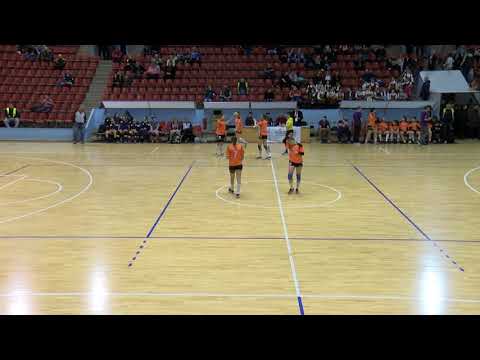 Rukomet(Ž) ŽJRK Bor RTB - ŽRK Naisa (01. 03. 2019.)