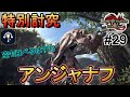 【mhr sb】デカくなって攻撃範囲が格段にupしたアンジャナフがもはや別モンスターなんだが･･･【実況 29 特別討究アンジャナフ】