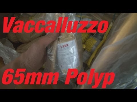 Vaccalluzzo 65mm - Brocade Polyp with blue Tips [Full HD]