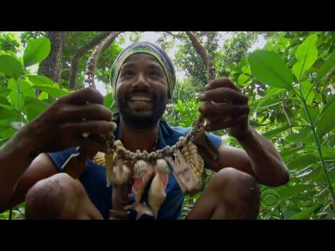 Best of Wendell- Winner of Ghost Island