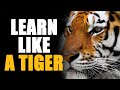 TIGER ATTITUDE Best Motivational Video Tiger Mentality Motivation Best Motivational Video