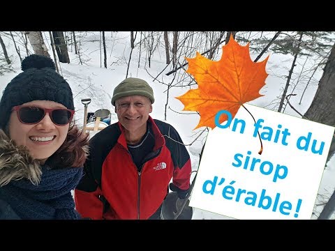 Como o xarope de bordo artesanal é feito no EASY QUEBEC FRENCH