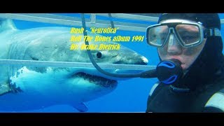 Rush - Neurotica XF12