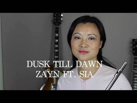Dusk Till Dawn - ZAYN Ft.  SIA (Flute Covers)