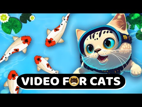 CAT GAMES - KOI FISH - 1 HOUR. Fish Video for Cats | CAT TV. - YouTube