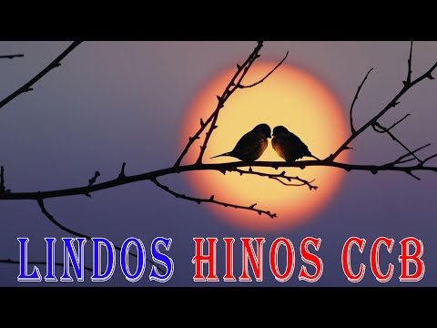 2 Horas de Belos Hinos CCB Hinário 5 Cantados - CCB Lindos Hinos Cantados