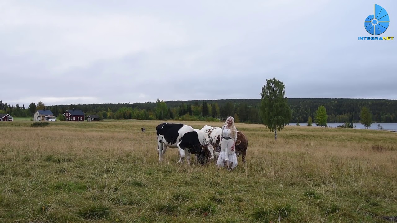 راعية أبقار سويدية تمارس الغناء لمناداة البقر
