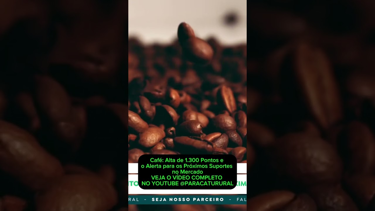 Café: Alta de 1.300 Pontos e o Alerta para os Próximos Suportes no Mercado