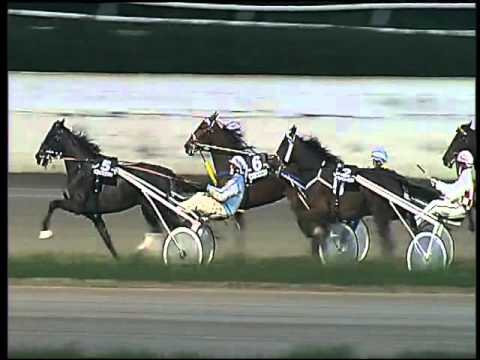 Trotto 14/02/2016 - 6° corsa