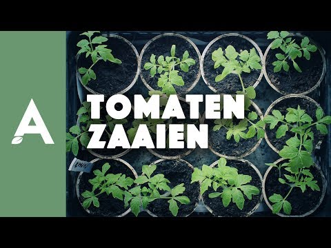 , title : 'Tomaten zaaien - Een groener thuis #05'