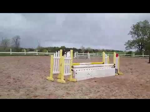 Gvrdc combined test Novice 2016 may