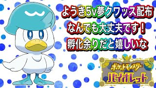 【ポケモンｓｖ】夢クワッスようき５ｖ配布【なんでもＯＫ】