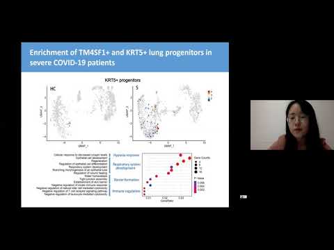 HCA Meeting Asia 2020: Selected 1b - Single-cell analysis in COVID-19 patients
