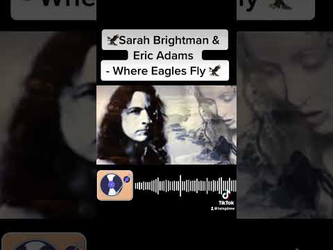 🦅 Where Eagles Fly 🦅