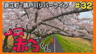 浪江町・つしま桜まつり「日曜日の赤ベコくん」#32
