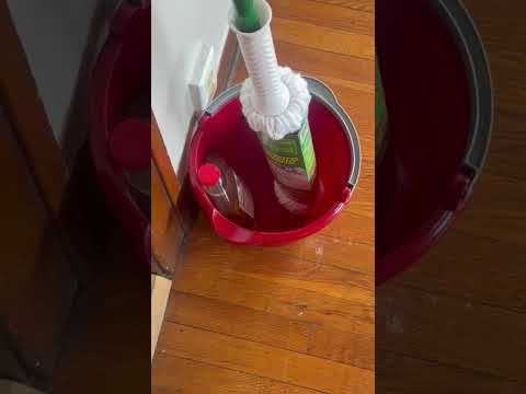 461 Hayes St. - Video 2 of 2