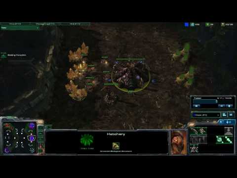 [HD] Starcraft 2 beta, 1080p.  2v2 Zerg and Terran