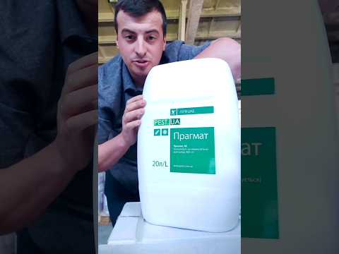 Гербицид "Прагмат" - фото 1 - id-p2371495353