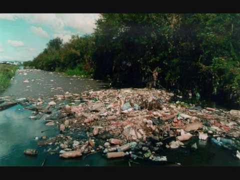 Mude o mundo, mudando suas atitudes