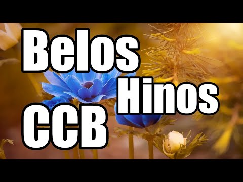 Belos Hinos CCB - 95,99,105,480,457,464,441,110,05,09,55,260,261 - Hinos Cantados CCB 12/11/2025