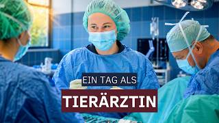 Ab in den OP 😳🩸 Ein Tag als Tierärztin in der Pferdeklinik!