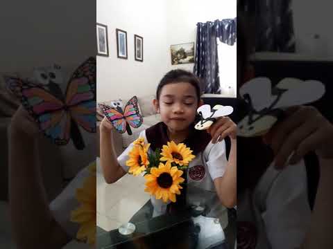 Puppet Butterfly and Bee Conversation