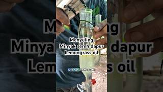 Download lagu Distilling Lemongrass Oil Using a Small Still #essentialoils mp3