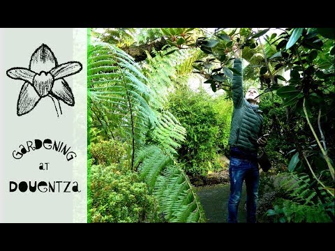 Dimitri at The Botanic Gardens & Liga's Pelargonium Paradise