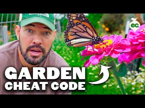 Top 9 Flowers for Your Veggie Garden: Boost Harvests Now!