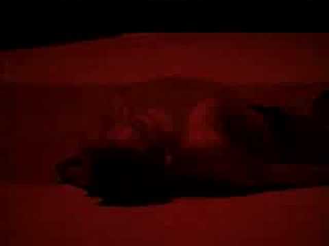 CYNETart_07encounter »Movement A«