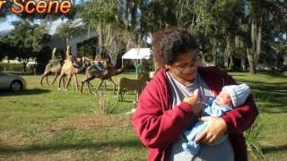 GRANDFATHER DELIVERS HIS GRANDSON IN FRONT OF CHURCH MANGER SCENE