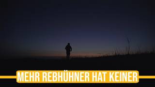 Niederwildtestrevier | Deutschlandweit die meisten Rebhühner - Paul ist voll in seinem Element!