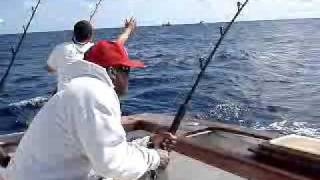 preview picture of video 'Black Buck...Hatteras, NC -  Dolphin Fishing Trip May 23-24, 2009'