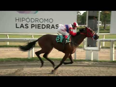 230303 c08  - NORDICO FEVER - HIPODROMO LAS PIEDRAS