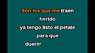 Vicente Fernandez EL REMEDIO Karaoke
