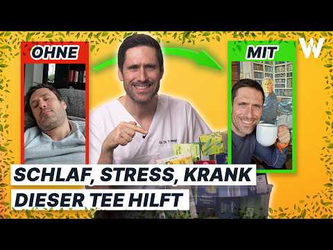 Die 5 besten Teesorten für Deine Gesundheit (wissenschaftlich geprüft) - Meine Favoriten