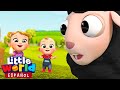 Ovejita Negra Little World Canciones Infantiles Little World En Español