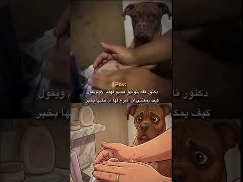 The bond of love.. أصدق لغة هي لغة المشاعر! 🥺🐾