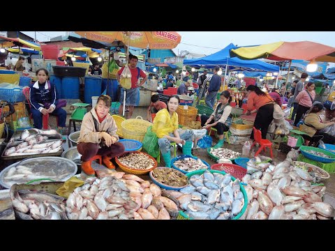 Amazing Fish Distribution Market | Live Fish, Fresh Fish, Seafood, Lobster & More