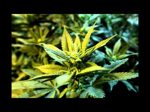 Faki ft. Djokos - 24h [REMIX]