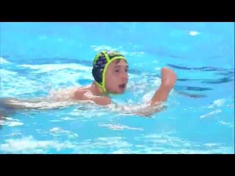 Novi Beograd vs AN Brescia - Highlights - Champion's League 2022-2023 - Round 4