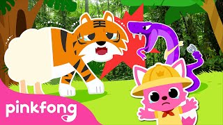 Let’s Find the Jumbled Jungle Animal Sounds! | Story for Kids | Old Macdonald Had a Farm | Pinkfong